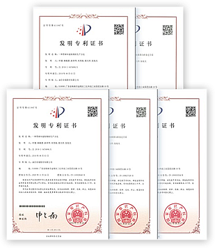 婴 儿肠道的优质菌株LPB